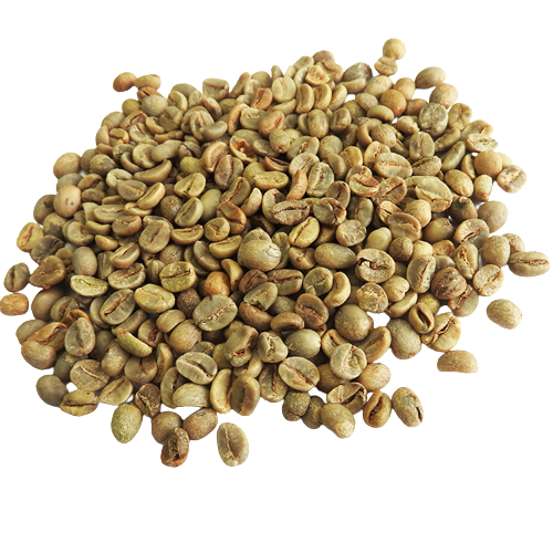 Robusta Green Bean